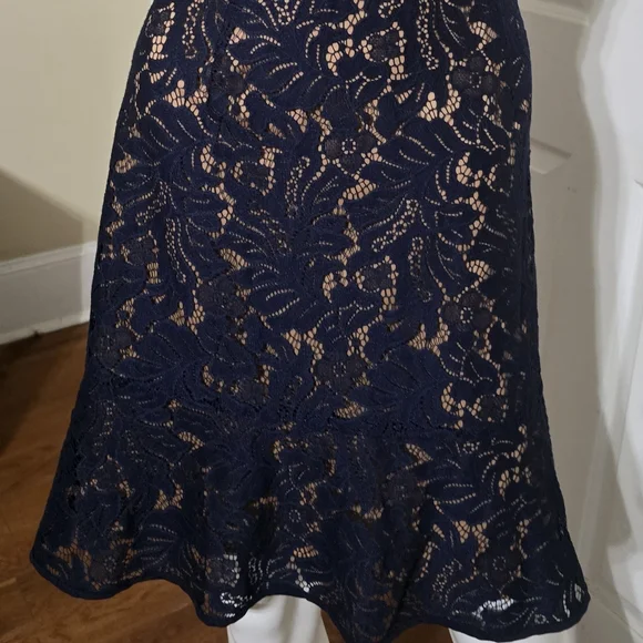 Banana Republic Midnight Blue Lace Dress - Picture 8 of 13